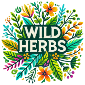 wildherbs.store